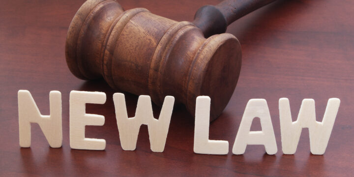 legal gavel with the words "new law" in front