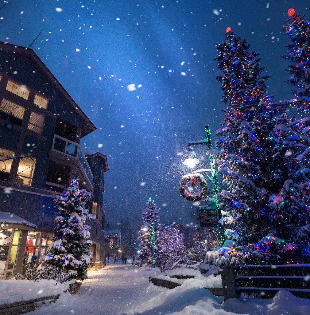 Christmas tree and snowy building