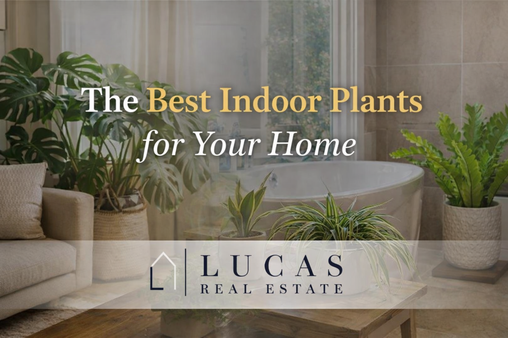 Newport Beach style interior with monstera, spider plant, and bathroom greenery, highlighting best indoor plants for your home with Lucas Real Estate branding.