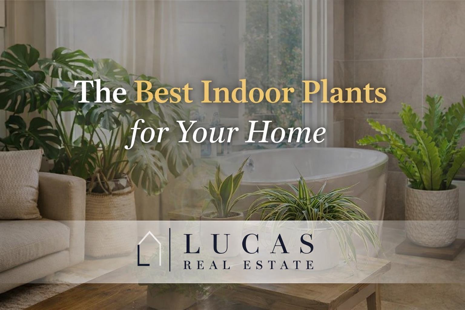 Newport Beach style interior with monstera, spider plant, and bathroom greenery, highlighting best indoor plants for your home with Lucas Real Estate branding.